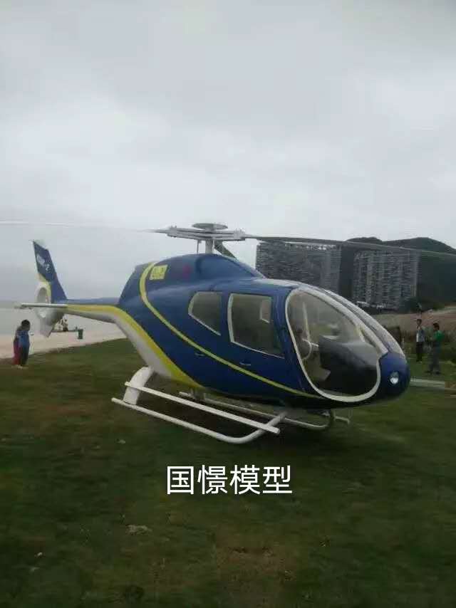 高平县飞机模型