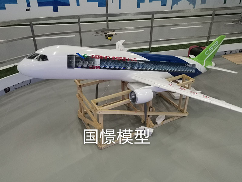 高平县飞机模型